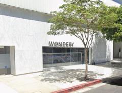 A Brief History of The Wonder…